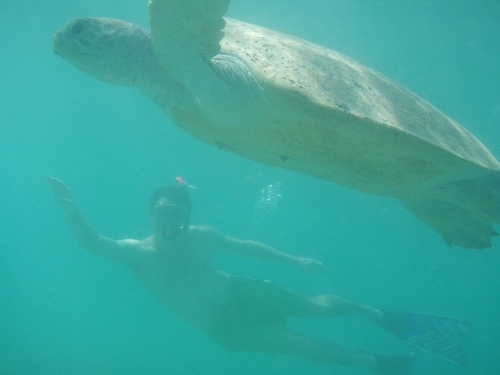 Jon et la tortue